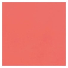 Placa de EVA Lisa 400X480mm Salmão Placa de EVA Lisa 400X480mm Salmão